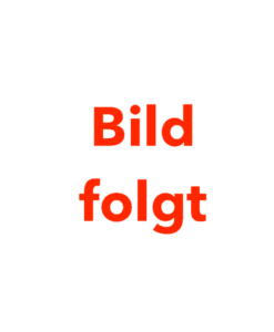 Günzburger - Lenkrolle ø200 mit Spindel, spurlos, grau | 27922