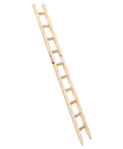 euroline Holz-Anlegeleiter | Nr.10102